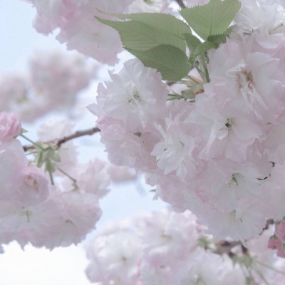 柳河FurryQQ群介绍